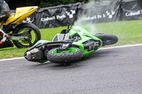 Lower Group Green Bikes